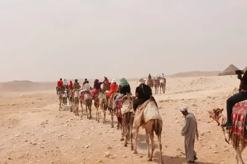 Camels — Sunset Ride Hurghada